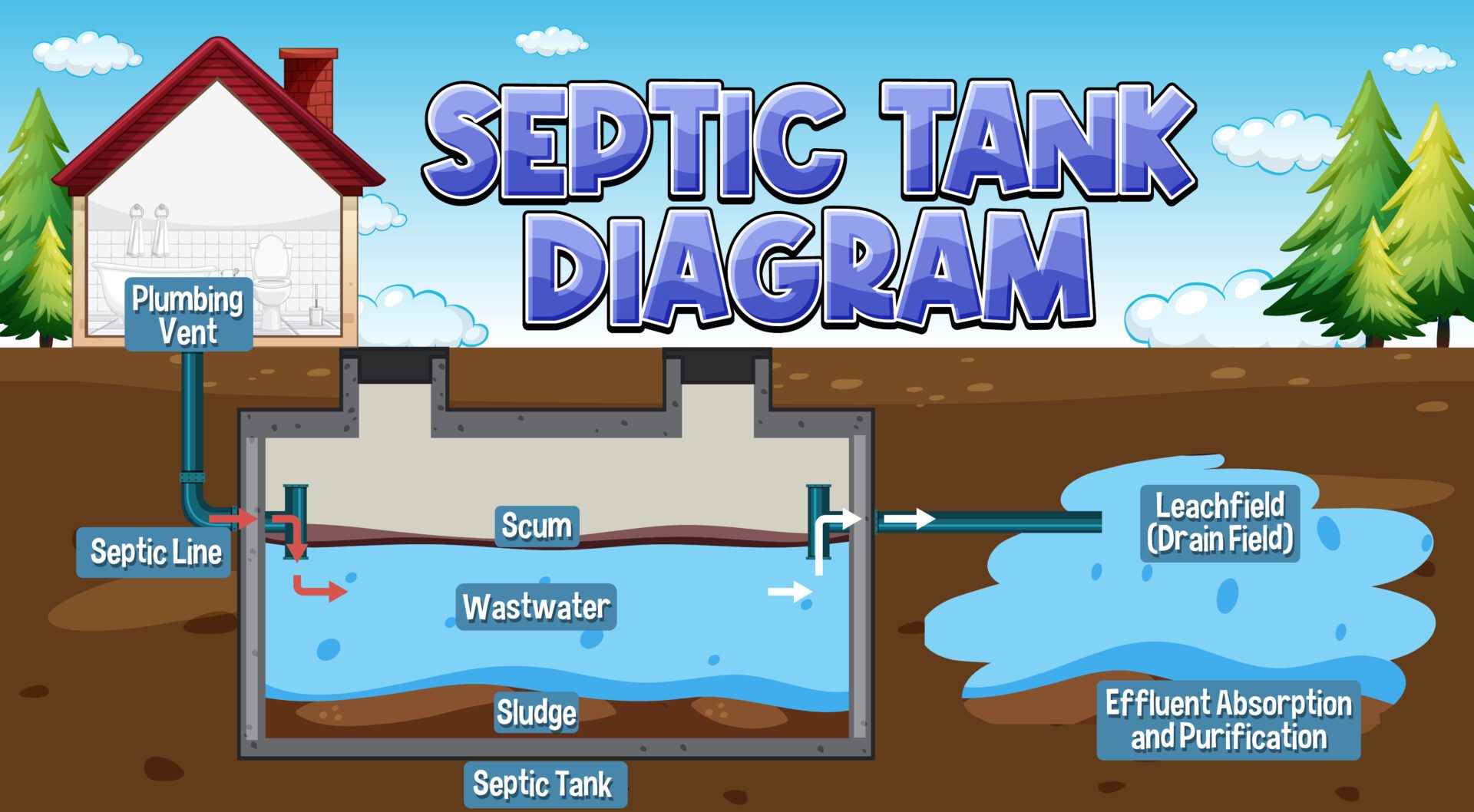 Septic tank design with water in the ground illustration